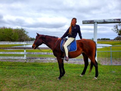 Superior Horsemanship Training Services